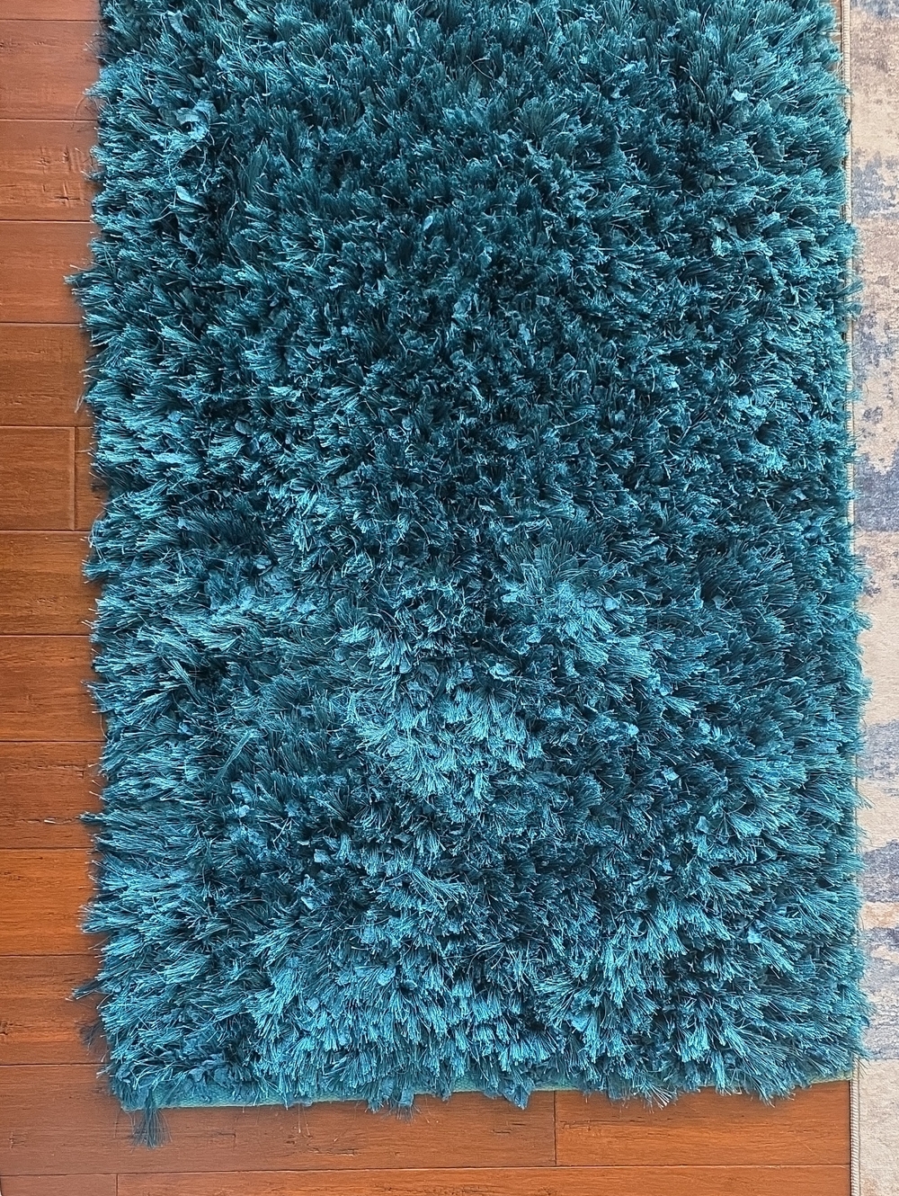 Plush Teal Shag Area Rug - Home Accents